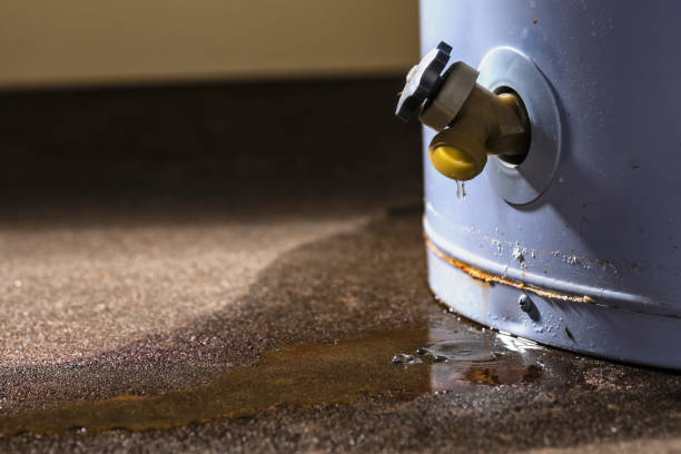Local water damage restoration in Wanamingo, MN