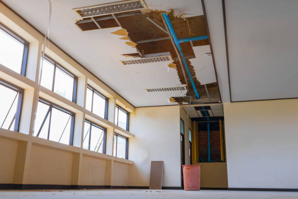Best Flooded house restoration  in Wanamingo, MN