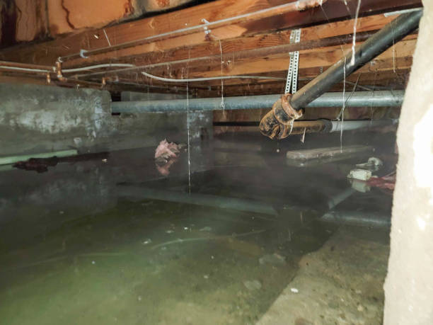  Wanamingo, MN Water damage restoration Pros