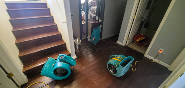 Best Local water damage restoration  in Wanamingo, MN
