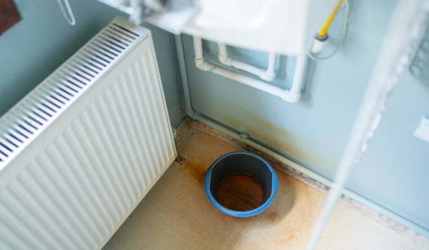 Best Residential water damage restoration  in Wanamingo, MN