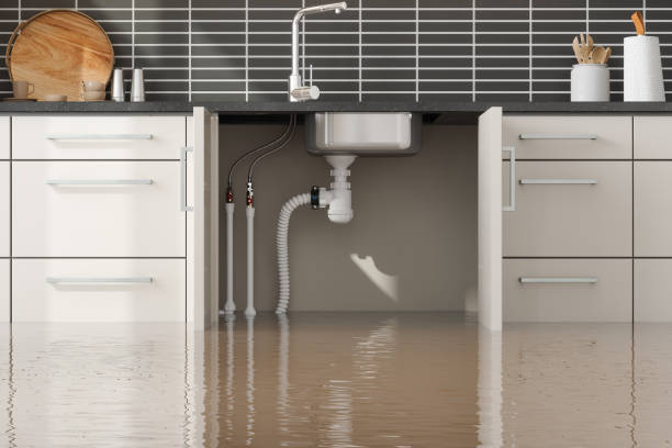 Best Professional water damage repair  in Wanamingo, MN