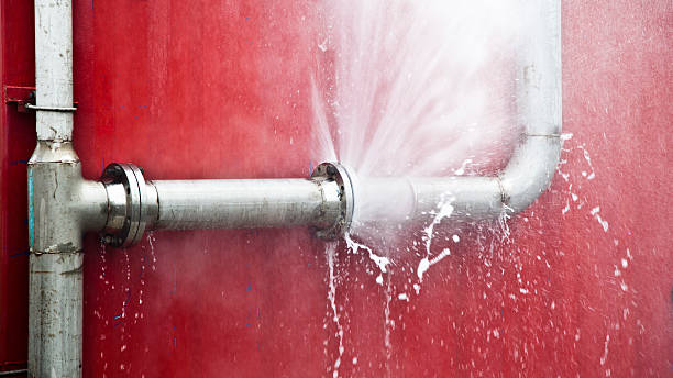 Best 24/7 water damage repair  in Wanamingo, MN