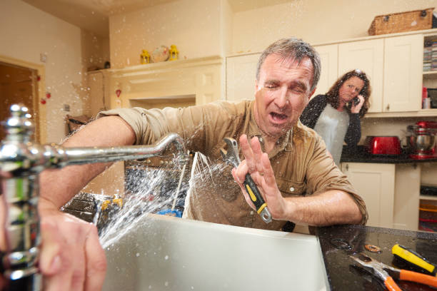 Best Flooded house restoration  in Wanamingo, MN